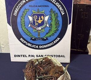 Operativo de inteligencia en Hatillo refuerza seguridad ciudadana con ocupación de evidencias presuntamente ilícitas