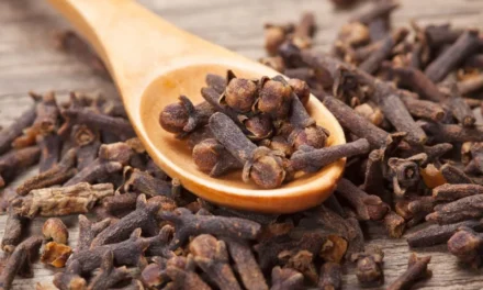 Masticar clavo de olor: el pequeño hábito natural que puede mejorar tu salud