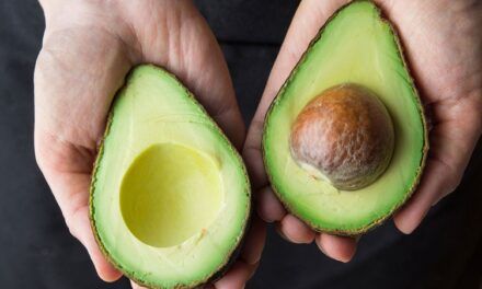 Té de Semilla de Aguacate: ¿Remedio Natural o Riesgo Silencioso? Lo que Dice la Ciencia