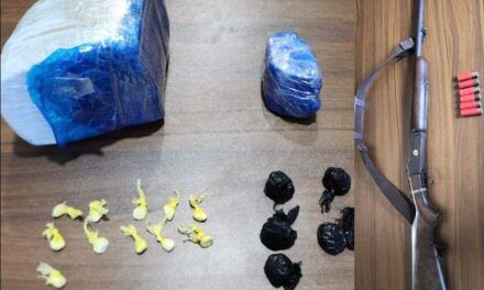 Policía y MP apresan a dos hombres y ocupan cerca de 1,000 gramos de drogas y un arma ilegal en Polo, Barahona
