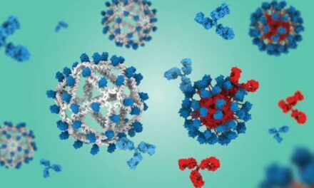 Hacia una posible vacuna universal contra los virus del SIDA y la gripe