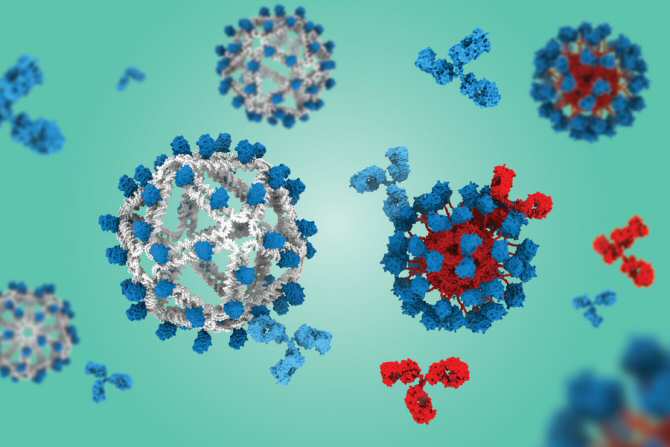 Hacia una posible vacuna universal contra los virus del SIDA y la gripe