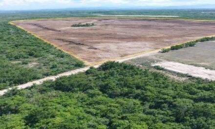 En Manzanillo: CEBAMDER cuestiona la insuficiencia técnica del capital energético en la protección de la comunidad de Villa Raif
