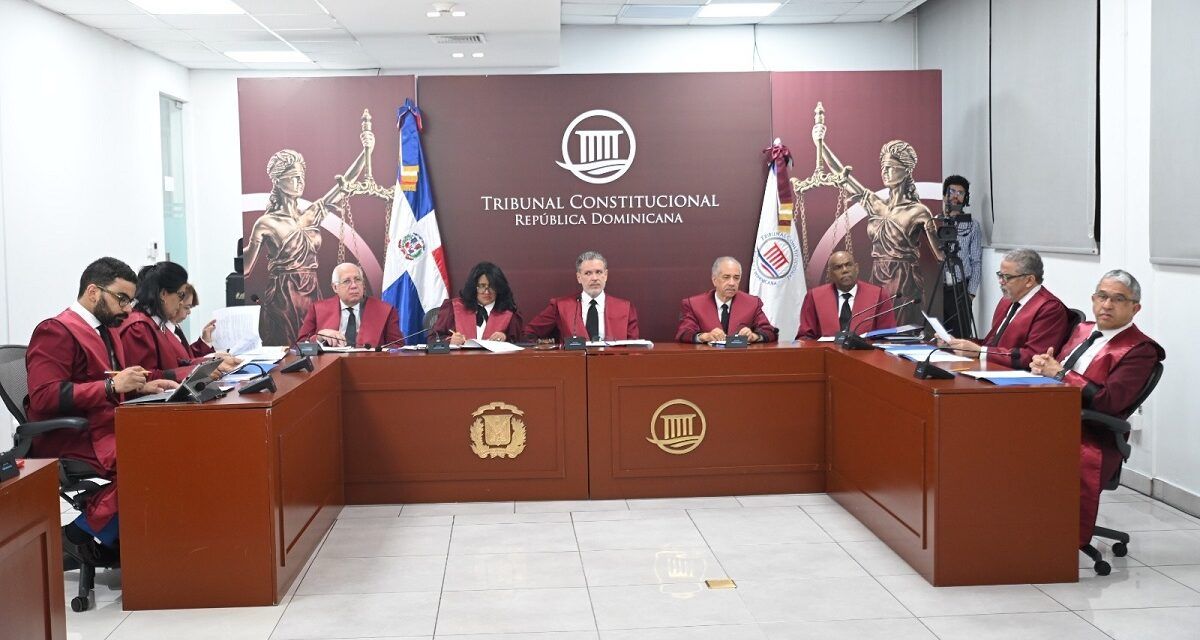 TC conoce once expedientes en audiencia pública y los deja en estado de fallo