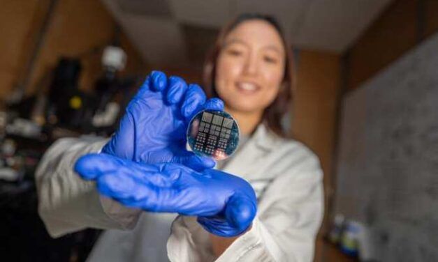 Material cuántico para computación inspirada en el cerebro humano
