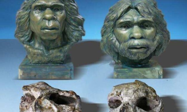 Dispersión geográfica del Homo erectus muy anterior a lo creído