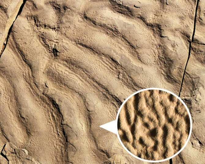 Arrugas hechas por microbios en la superficie de rocas