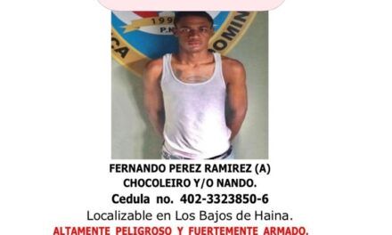 Acción Rápida apresa reconocido delincuente buscado por múltiples delitos graves