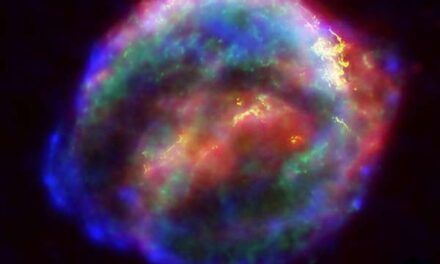 ¿A qué distancia tendría que estallar una supernova para poner en peligro la vida en la Tierra?