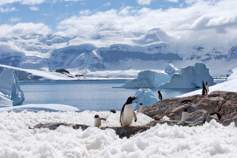 La costa de la Antártida ha perdido 12,800 kilómetros de hielo en 30 años