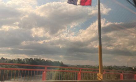 Banderas rotas y en mal estado ondean en puente de SDN