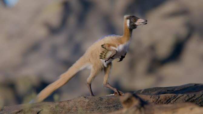 Sorpresa en la historia evolutiva de unos misteriosos dinosaurios muy parecidos a pájaros