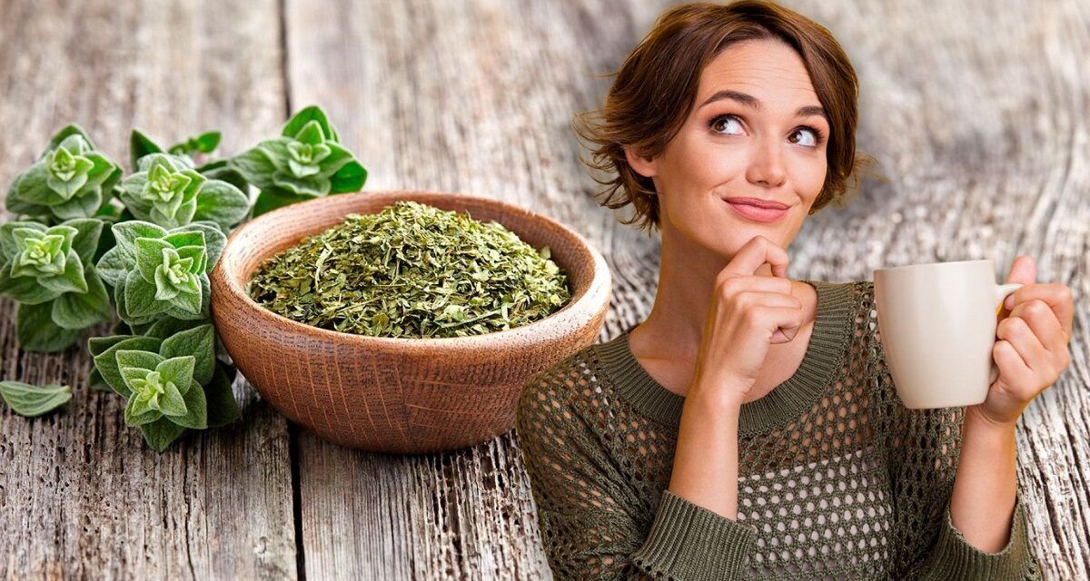 Té de orégano en ayunas: el remedio natural que gana popularidad por sus beneficios digestivos