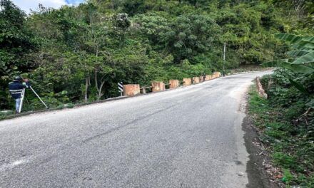 Restricción temporal del puente La Mercedita en la carretera Enriquillo- Barahona