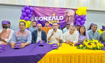 Miembros de la dirigencia del PLD que respaldan a Gonzalo Castillo se unifican en Barahona