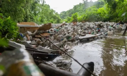 Ministro Medio Ambiente y alcaldesa supervisan acciones ante tormenta Melissa