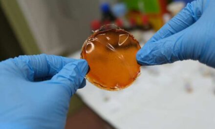 Membrana para una extracción mucho más eficiente de hidrógeno