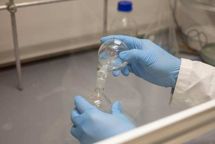 ¿Inmunoterapia universal contra cánceres sólidos activada por nanopartículas?