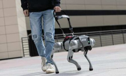 Perros robot para guiar invidentes y además hablar con ellos