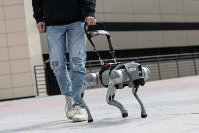 Perros robot para guiar invidentes y además hablar con ellos
