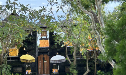la oportunidad de visitar Bali, la isla de los dioses