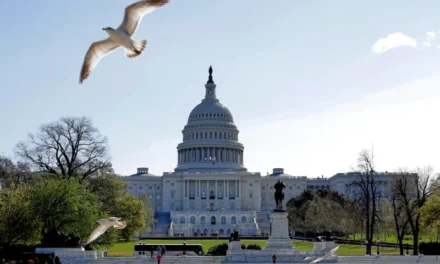 Cámara de Representantes de Estados Unidos avalan proyecto que apoya a los haitianos