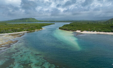 Estero Hondo, una lección de turismo sostenible en la costa norte