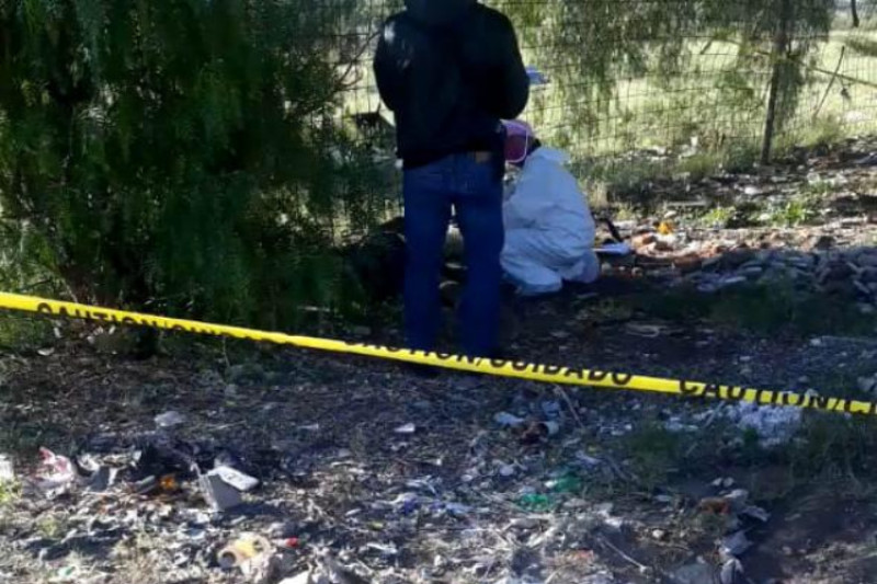 Más de 17,000 denuncias por violencia de género y 22 feminicidios en primer trimestre