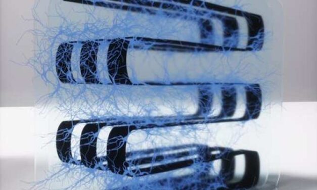 Construyen una computadora biológica