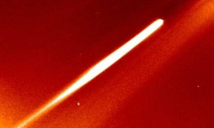 Un cometa es destruido al pasar demasiado cerca del Sol