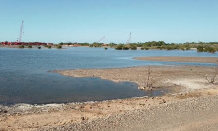 Planta de Energía 2000 en Manzanillo será inaugurada con estudio ambiental de 2013: CEBAMDER exige investigación independiente al presidente Abinader