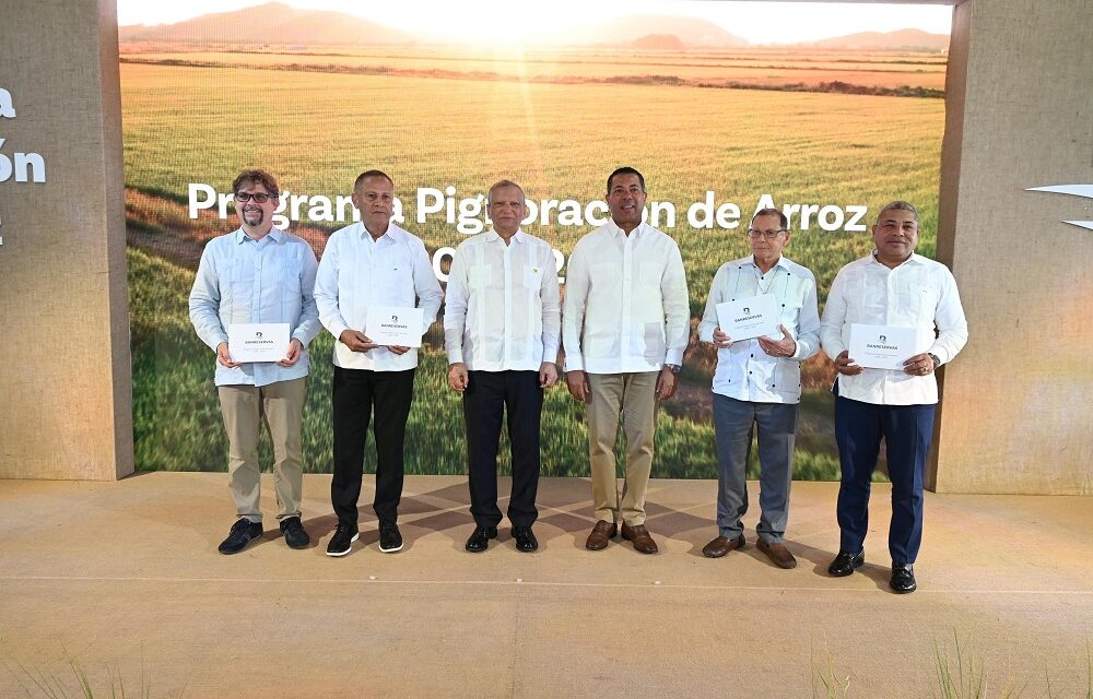 Banreservas dispone RD$12,000 millones para financiar la producción de arroz 2026-2027