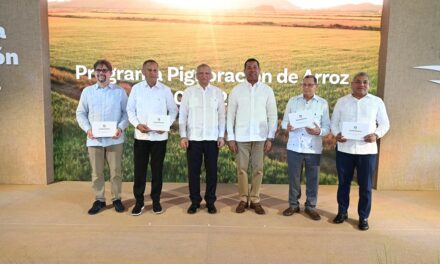 Banreservas dispone RD$12,000 millones para financiar la producción de arroz 2026-2027