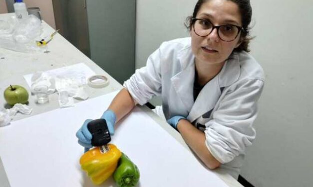 Sensores biodegradables acoplables a plantas para detección rápida de pesticidas