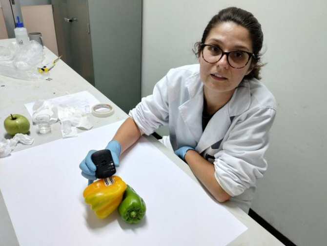 Sensores biodegradables acoplables a plantas para detección rápida de pesticidas