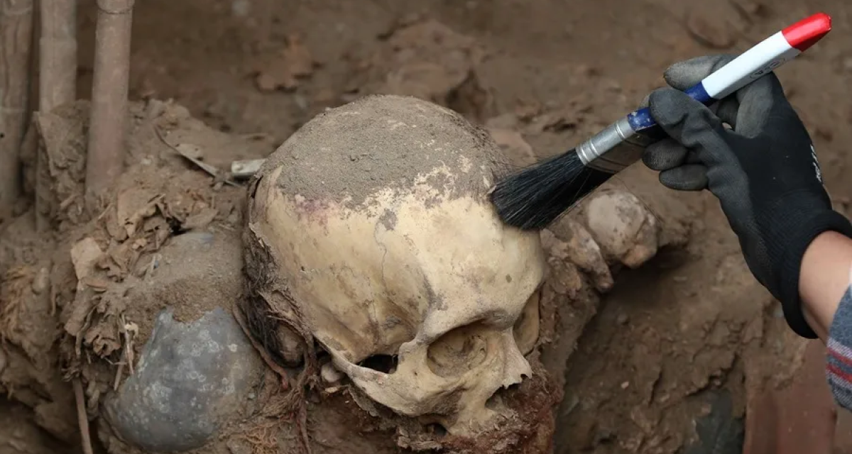 Migración en la costa del Pacífico de Perú comenzó hace 800 años