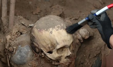 Migración en la costa del Pacífico de Perú comenzó hace 800 años
