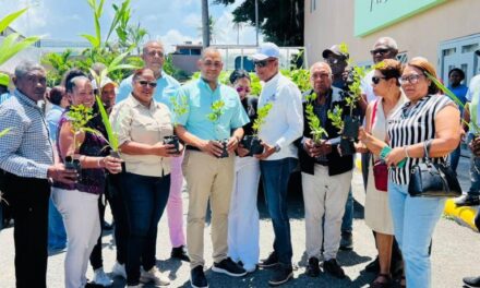 Alcaldía de SPM lanza concurso ambiental “Siembra y gana” con premio de RD$100 mil