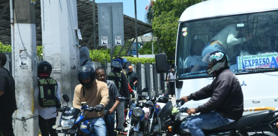 Regulaciones de montoconchos: la deuda pendiente que aún evaden las autoridades