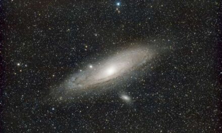Por qué la humanidad podría ser una «especie prematura»