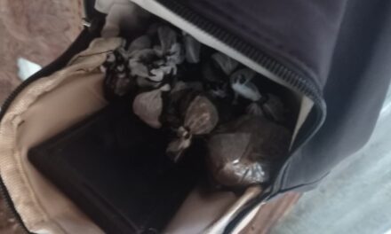 DINTEL asesta golpe y desmantela punto de microtráfico en contundente operativo en San Cristóbal