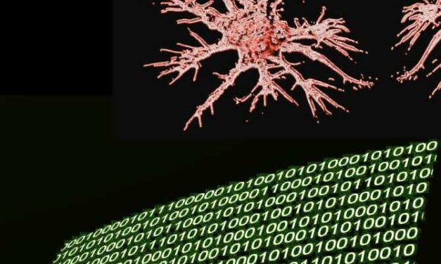 Inteligencia artificial diagnosticando tumores cerebrales en minutos en vez de en semanas