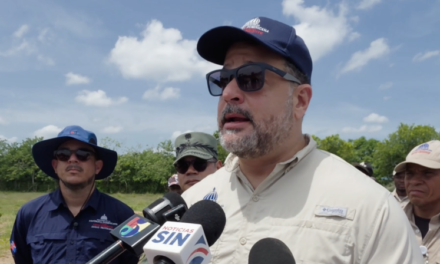 Haitianos intensifican la extracción de arena en un costado del Masacre