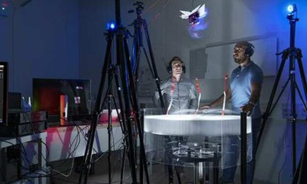 Drones capaces de volar con la eficiencia de las aves
