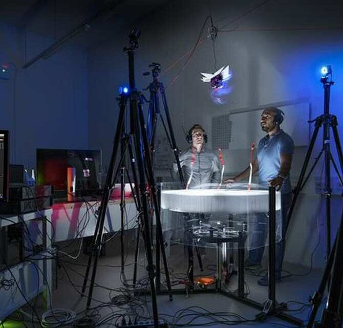 Drones capaces de volar con la eficiencia de las aves