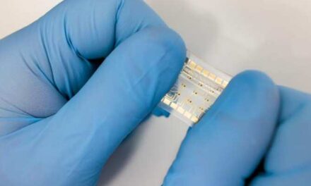 Parche con electrónica flexible dotado de inteligencia artificial
