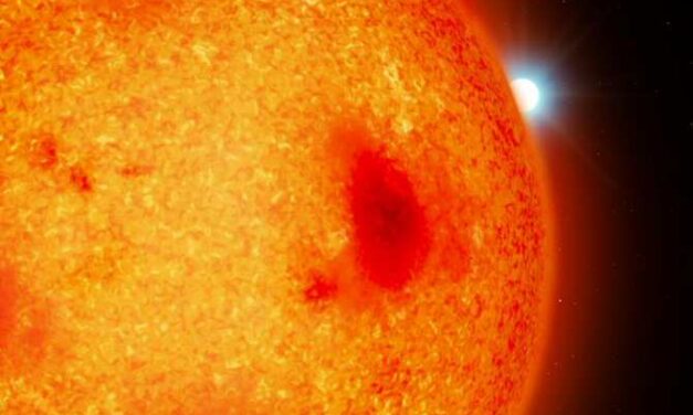 Descubren más estrellas muertas en nuestro vecindario estelar