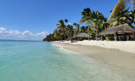 El 88 % de la arena de las playas dominicanas es de origen biológico