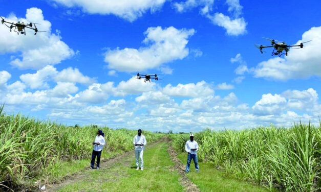 Drones agrícolas: el desafío de financiar la innovación
