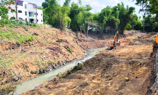 Ambientalistas piden preservar la cobertura boscosa en construcción de parque en Santiago